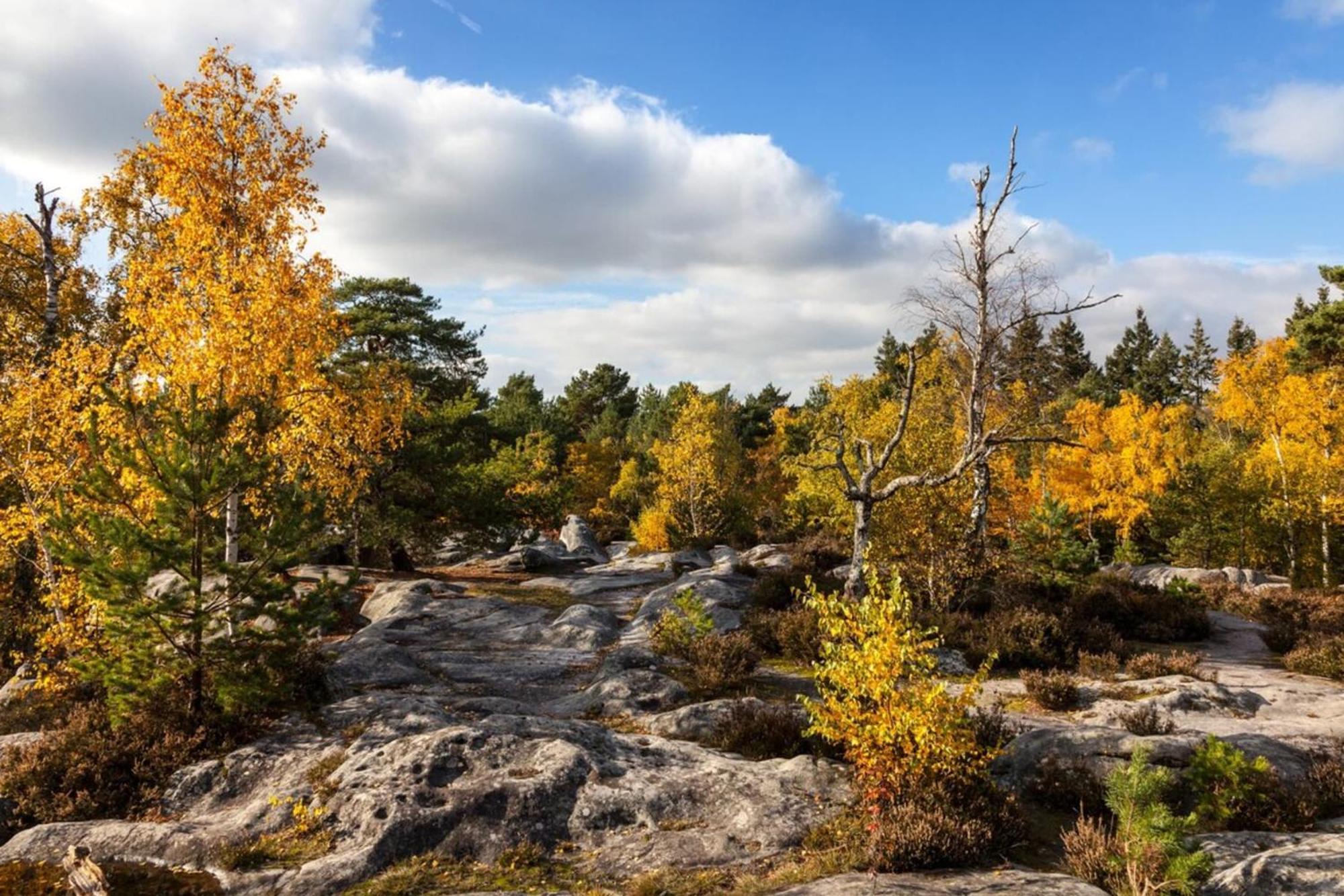 Cosy Fontainebleau Apartment ภายนอก รูปภาพ